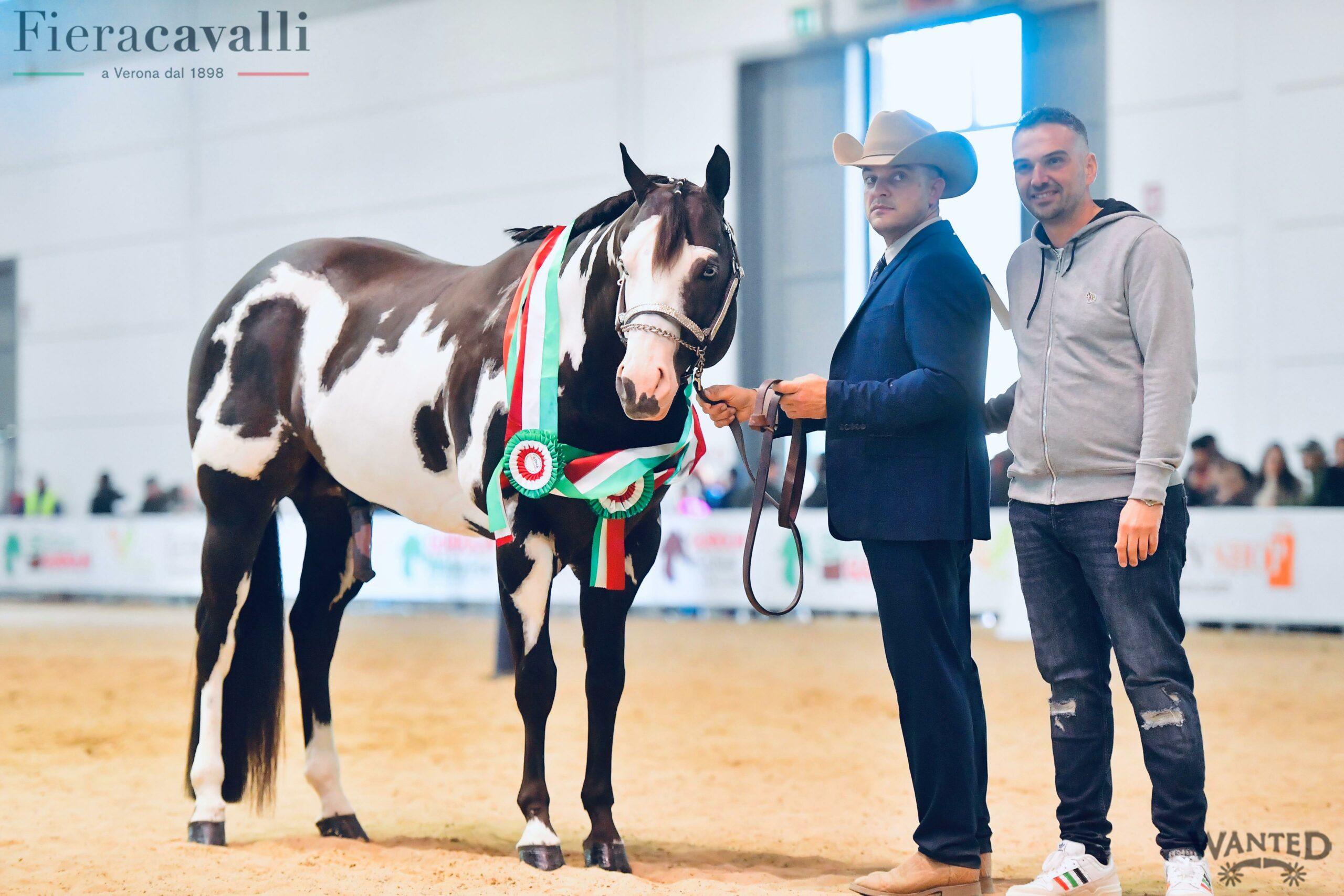 Fieracavalli Verona 2023, é di Reggio Calabria il Miglior Stallone