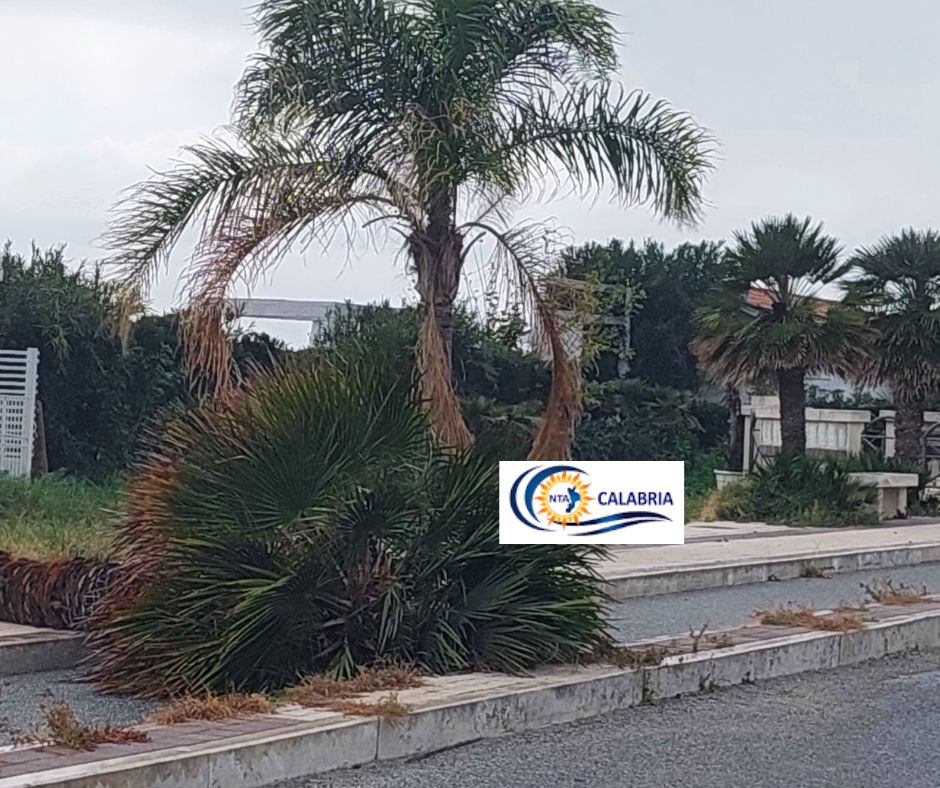 San Lorenzo Marina danni maltempo