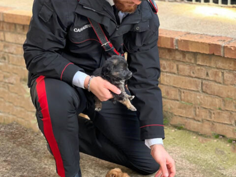 inieri a Tutela degli Animali