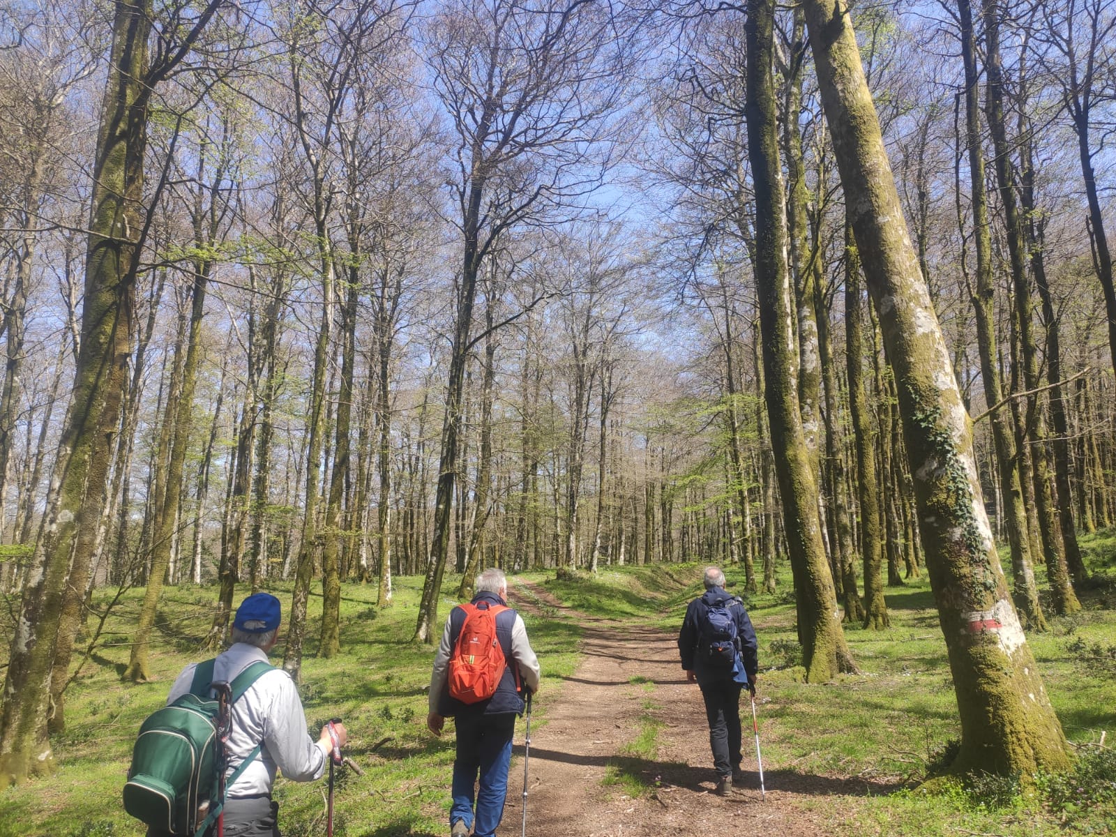 Camminata della Biodiversità: “Il Sentiero del Brigante”
