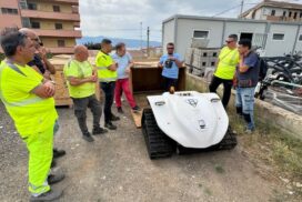 Pulizia delle Spiagge reggio