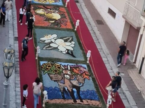 infiorata melitese