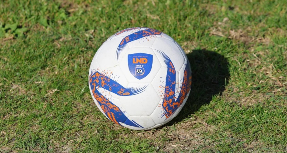 Scafatese-Reggina: i convocati di Trocini