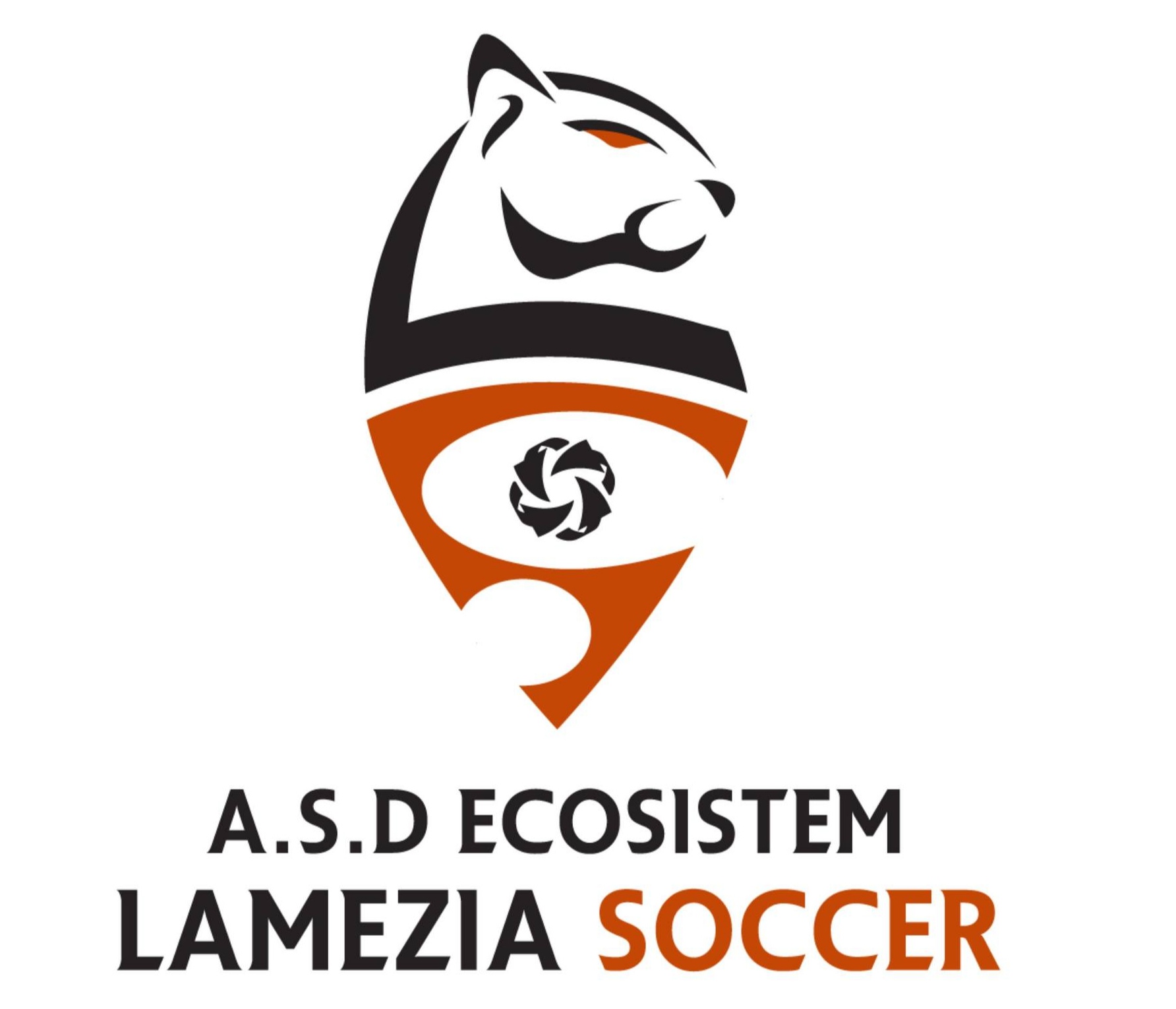 Ecosistem Lamezia Soccer: si dimettono il tecnico e il suo staff