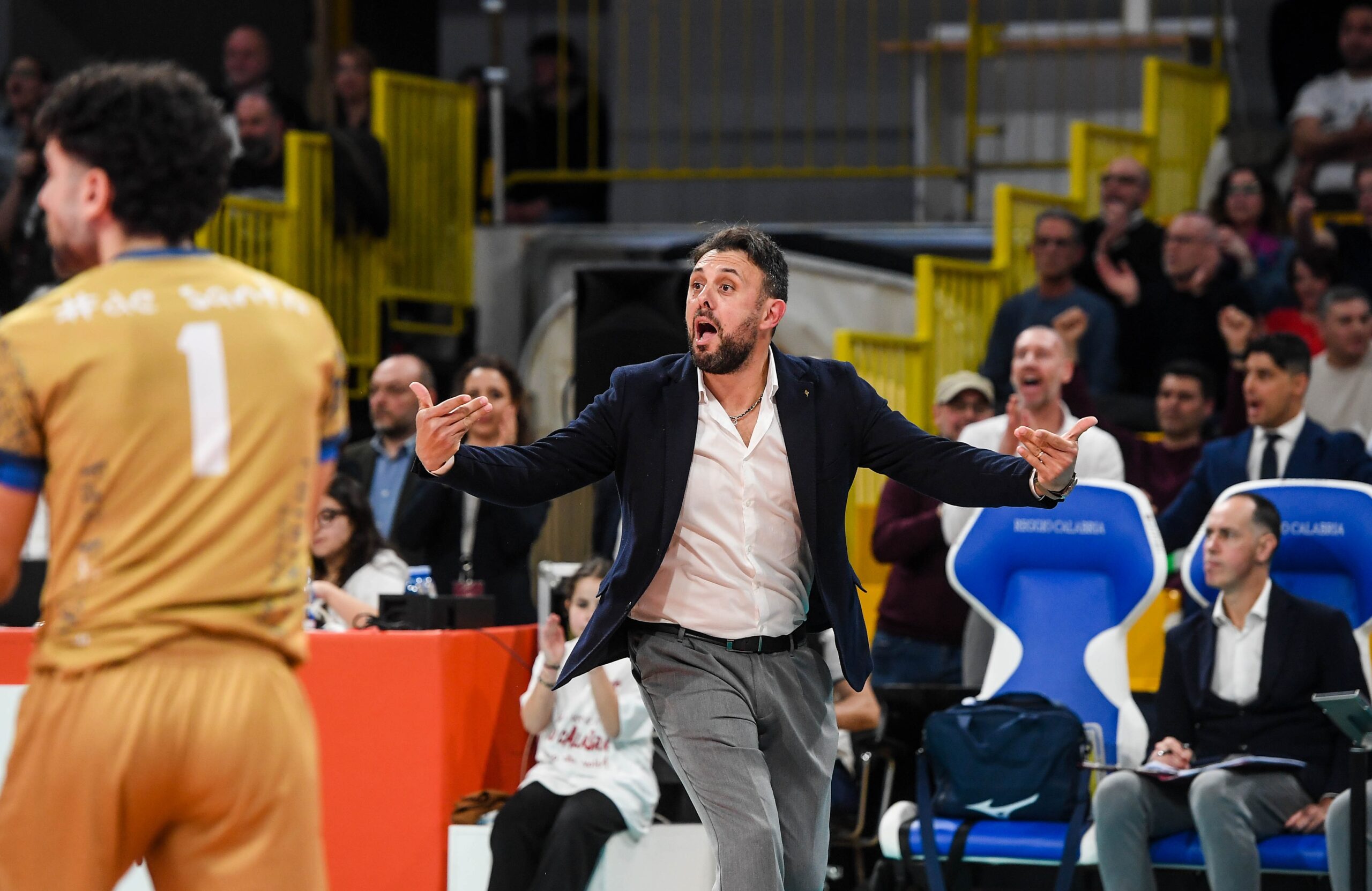 Momento magico per la Domotek Volley