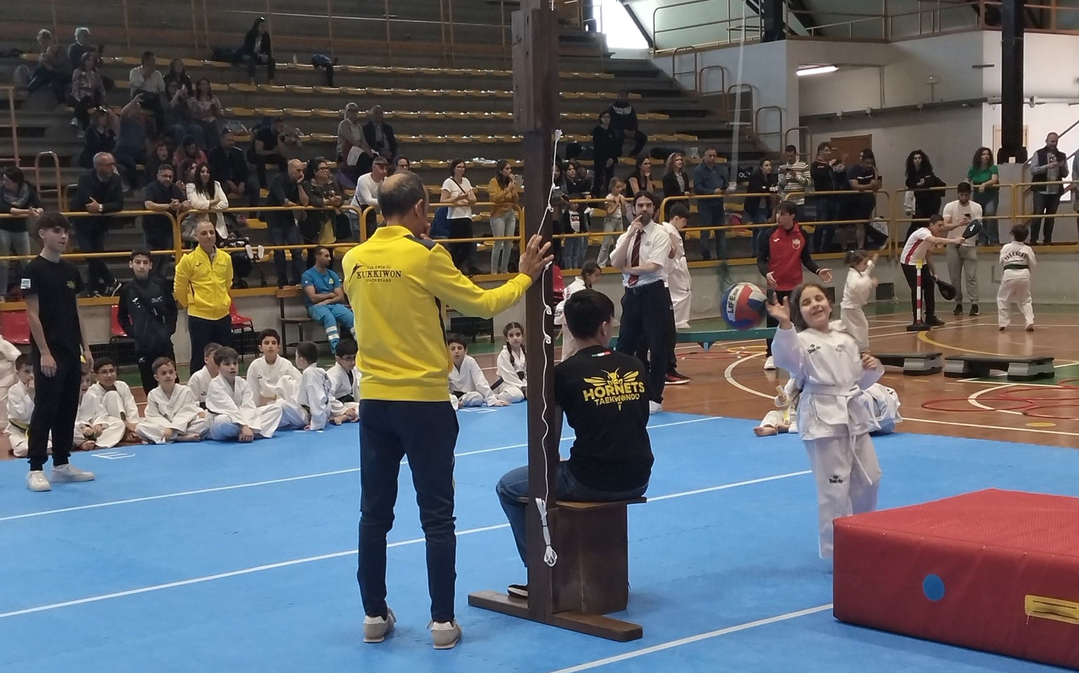 Taekwondo calabrese, successo degli eventi regionali per i bambini
