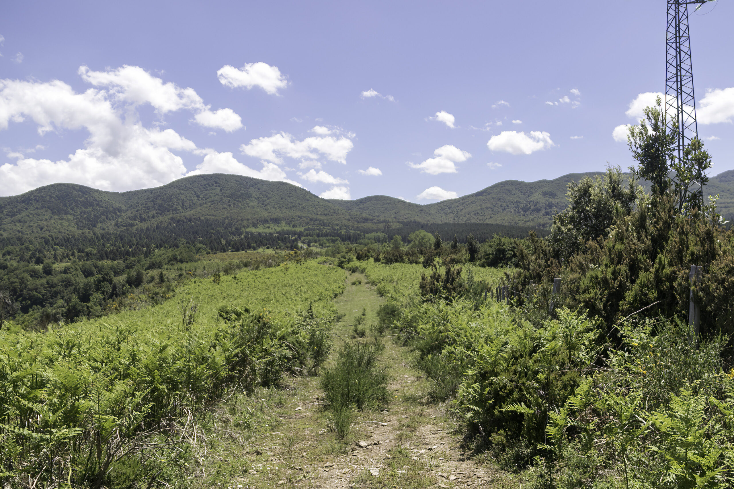 “Gente in Aspromonte” organizza una nuova escursione