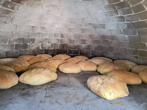 festa del pane
