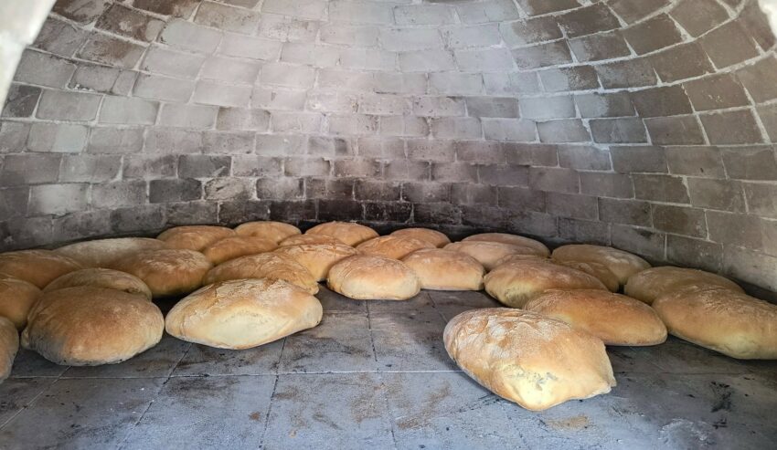 festa del pane