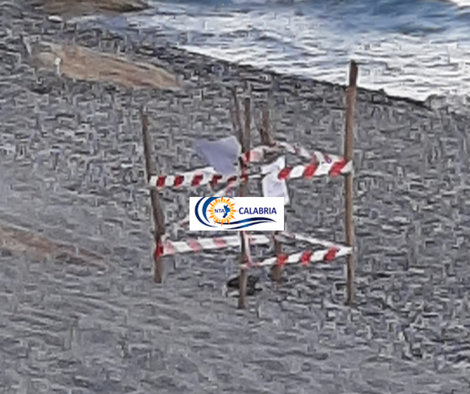 tartaruga morta Pilati