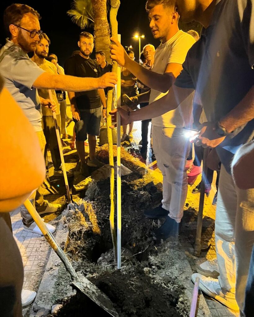 albero domenico orlando