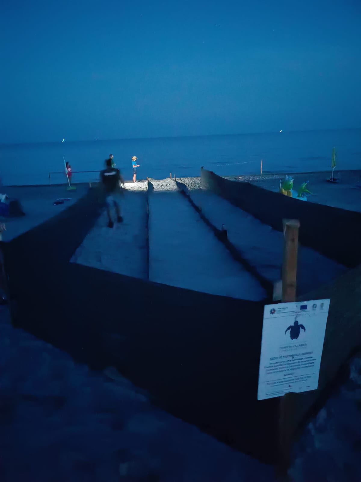 Tartarughe sulla spiaggia di Condofuri, Tutto pronto - Ntacalabria.it