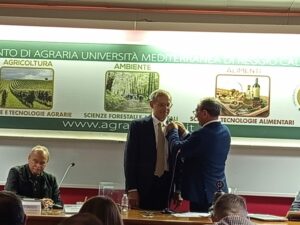 Reggio Calabria Parallelo 38, Reggio Nord, Reggio Calabria, Palmi, Locri, E-Club Almathia Calabria, Roccella, Nicotera Medma, Polistena, Gioia Tauro