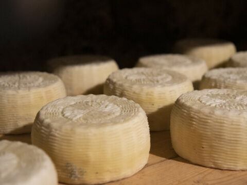 I caprini d’Aspromonte diventano Presidio Slow Food