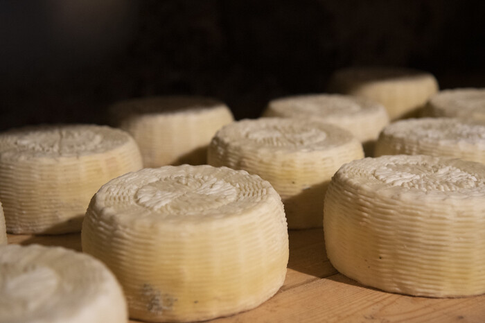 I caprini d’Aspromonte diventano Presidio Slow Food