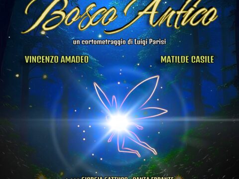 Le Fate del Bosco Antico