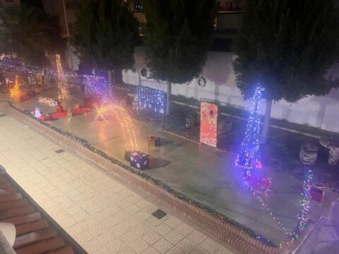 albero centro giovanile rempicci