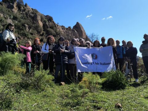 Motticella di Bruzzano