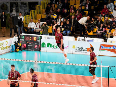 Domotek Volley