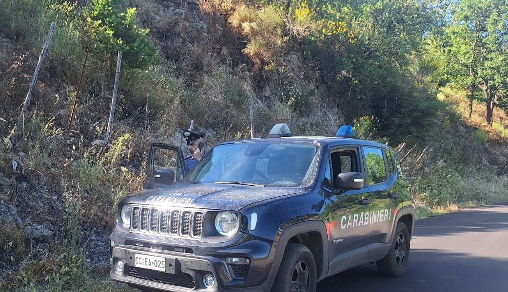 Petronà: un uomo multato per bruciare sterpaglie senza autorizzazione