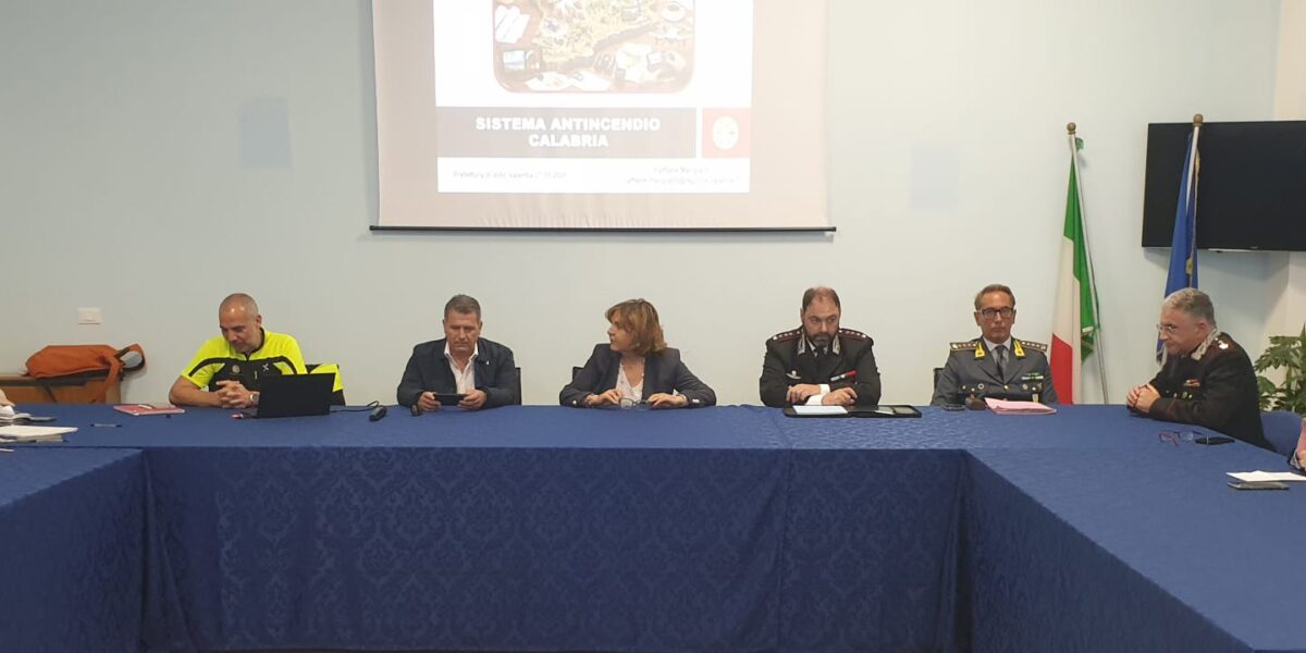 Vibo Valentia: prevenzione e contrasto incendi boschivi rafforzati