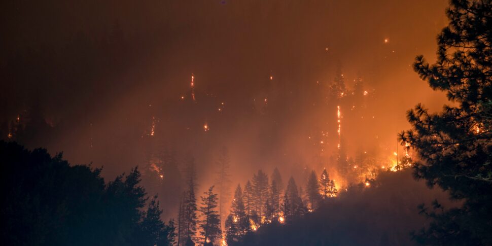 Incendi boschivi 2025: Calabria seconda regione più colpita