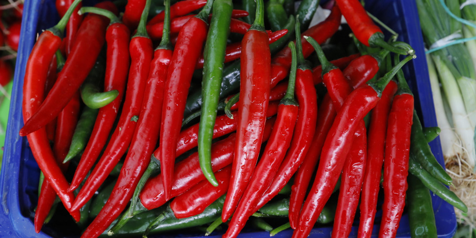 Peperoncino di Calabria igp: riconoscimento europeo per eccellenza