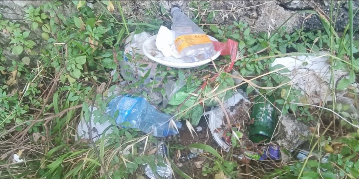 Scilla: belvedere Morselli ostaggio rifiuti, urge videosorveglianza