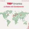 tedx amantea
