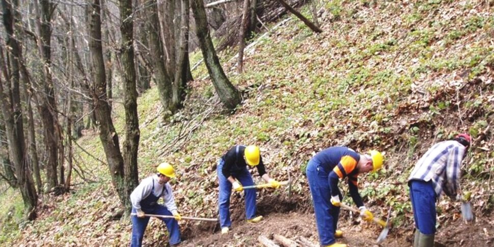 Calabria Verde: lavoratori pronti alla mobilitazione per contratto e pianificazione