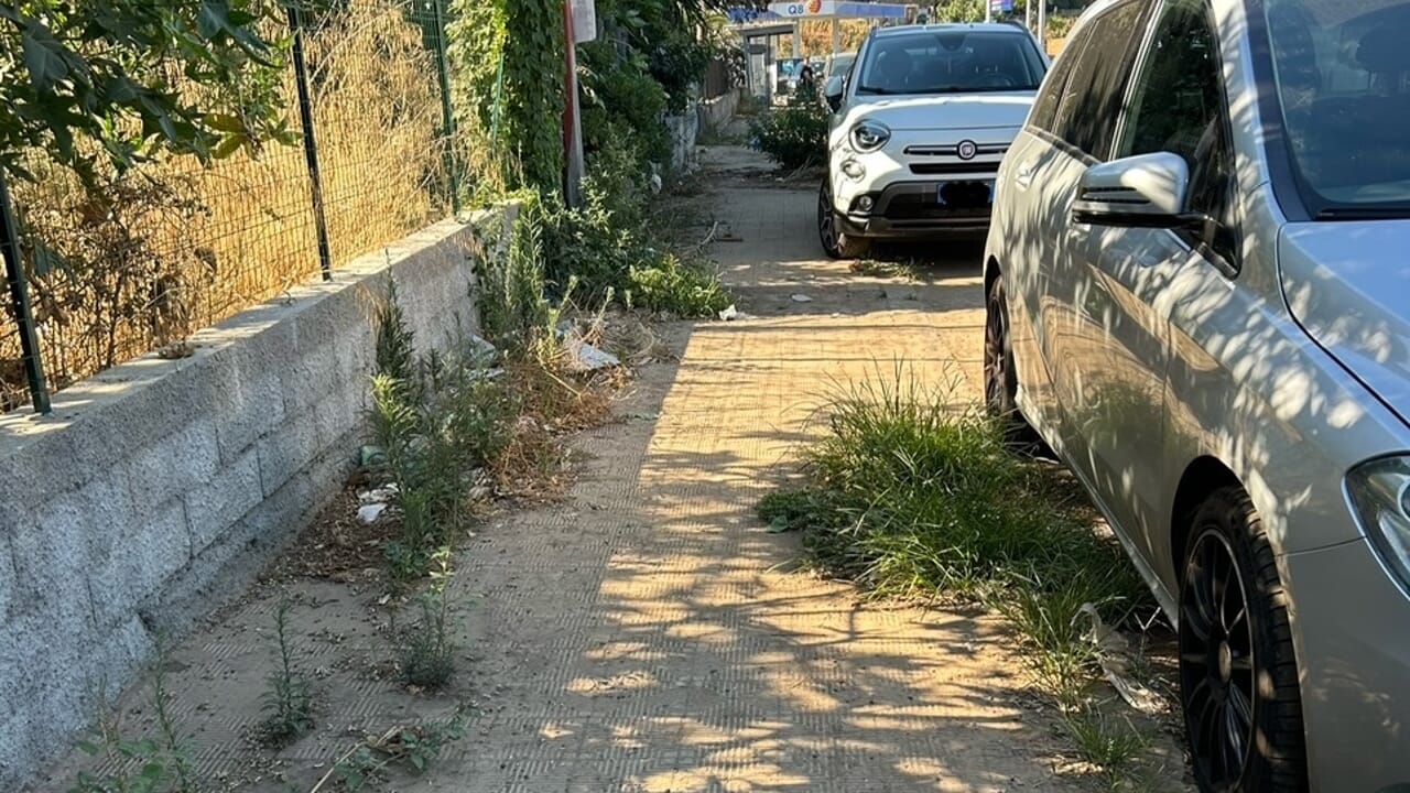 Reggio Calabria: degrado urbano viale Europa, tra natura e abbandono