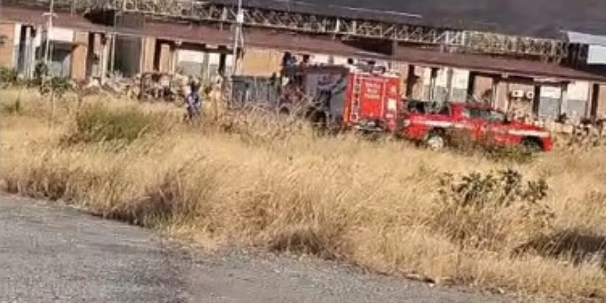 Centro agroalimentare di Reggio Calabria, un limbo tra