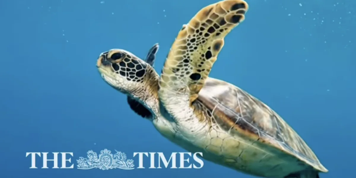 Tropea tra i luoghi più belli in Italia secondo il Times