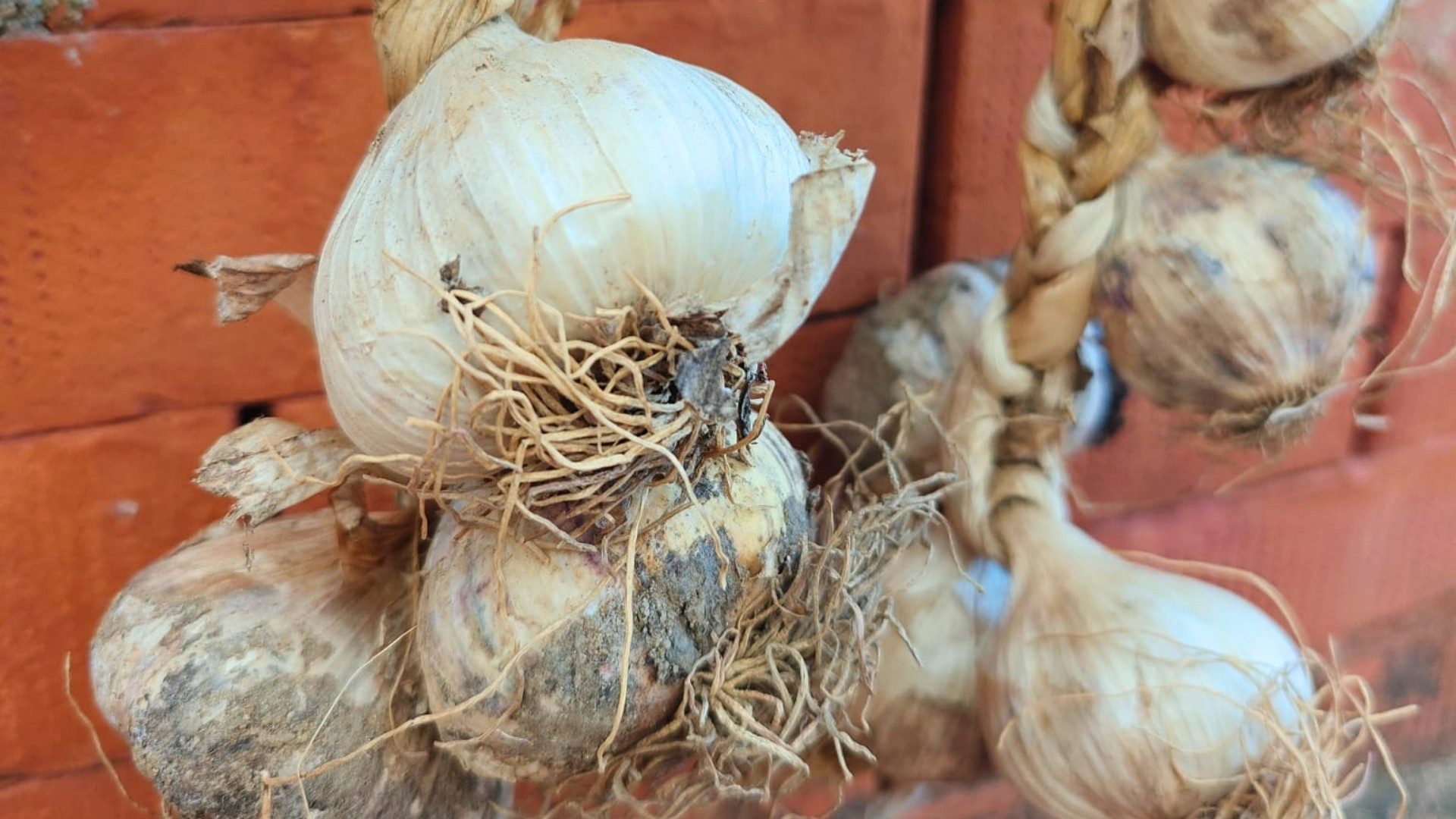 La Calabria a Terra Madre Salone del Gusto 2026 a Torino