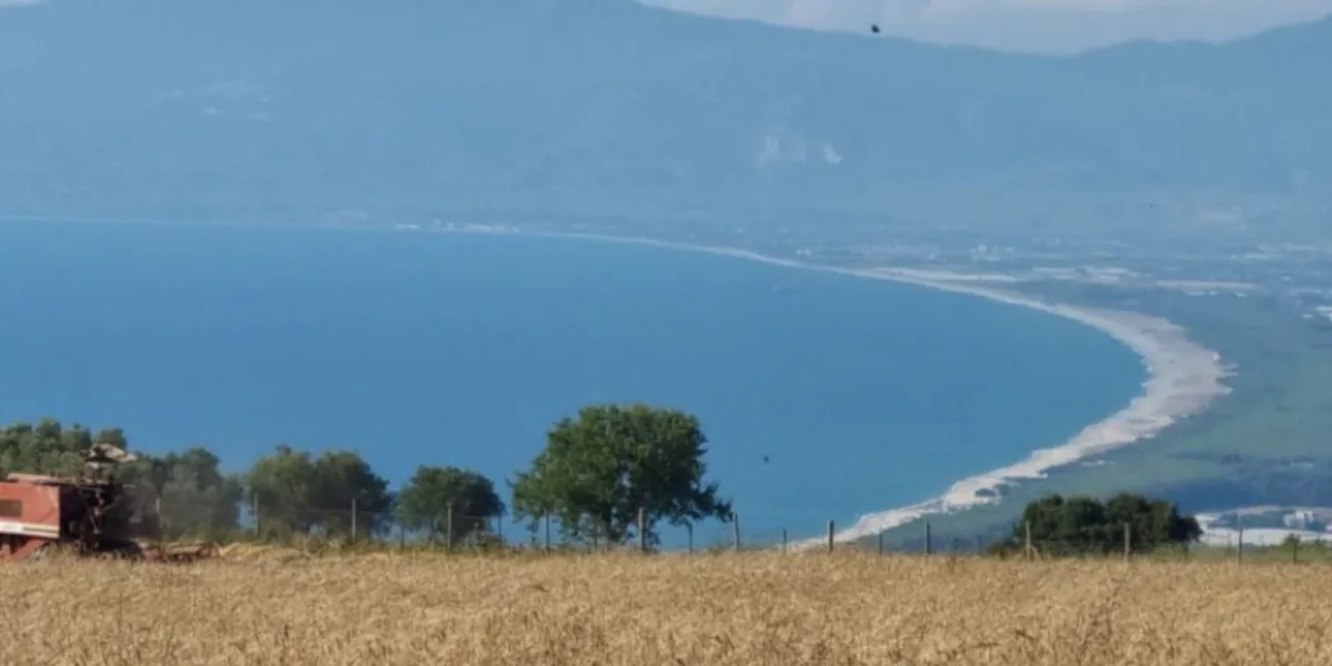 Stop al fotovoltaico nella Piana degli Scrisi per Maierato