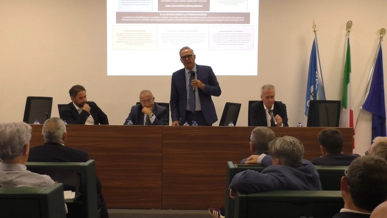 Maltempo, prevenzione rischi idrogeologici Calabria