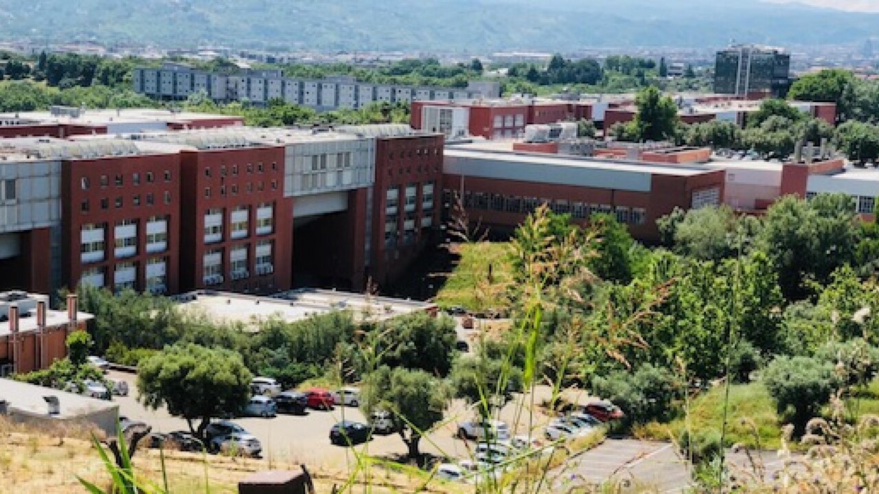 Unical computer science eccelle a livello mondiale