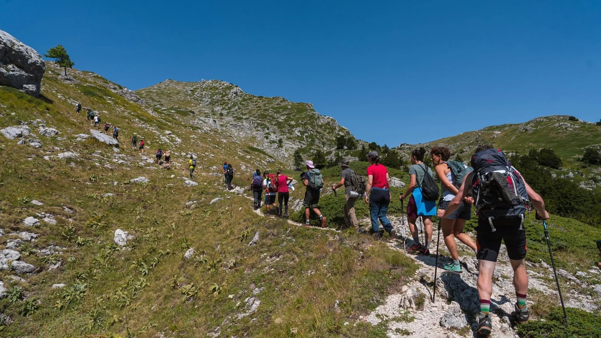 Festival Pollino Sibaritide musica dal 2 al 4 ottobre