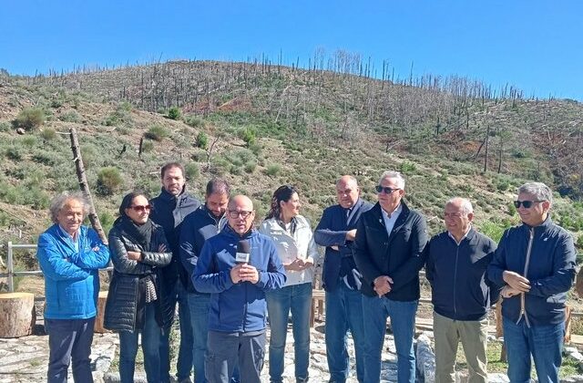 Nucera, “Area Grecanica, servono strumenti concreti
