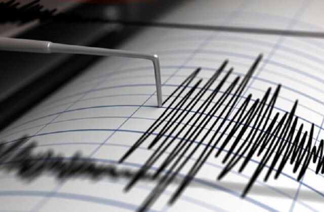 Scossa di terremoto a Reggio Calabria, scuole evacuate