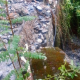 Roccaforte, autobus sfiora scarpata sulla sp23: allarme