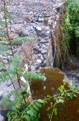 Roccaforte, autobus sfiora scarpata sulla sp23: allarme