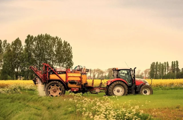 Oltre 282 milioni di euro per l’agricoltura in Calabria