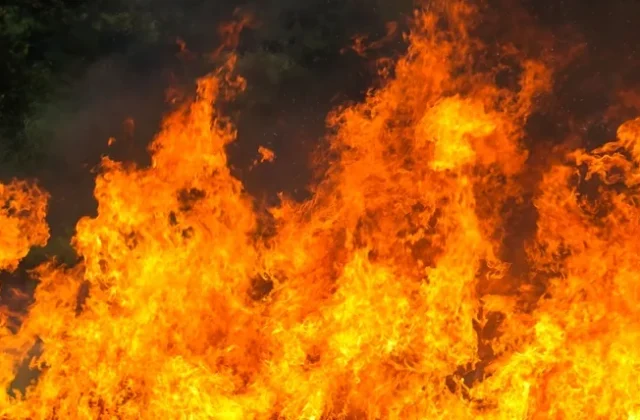 Calabria, calo incendi grazie a prevenzione e monitoraggio