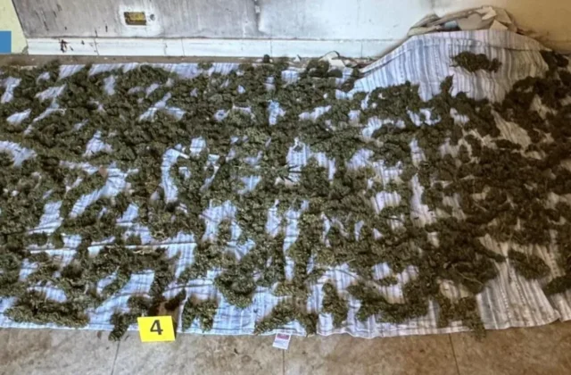 Marijuana sequestrata a Sinopoli, un arresto