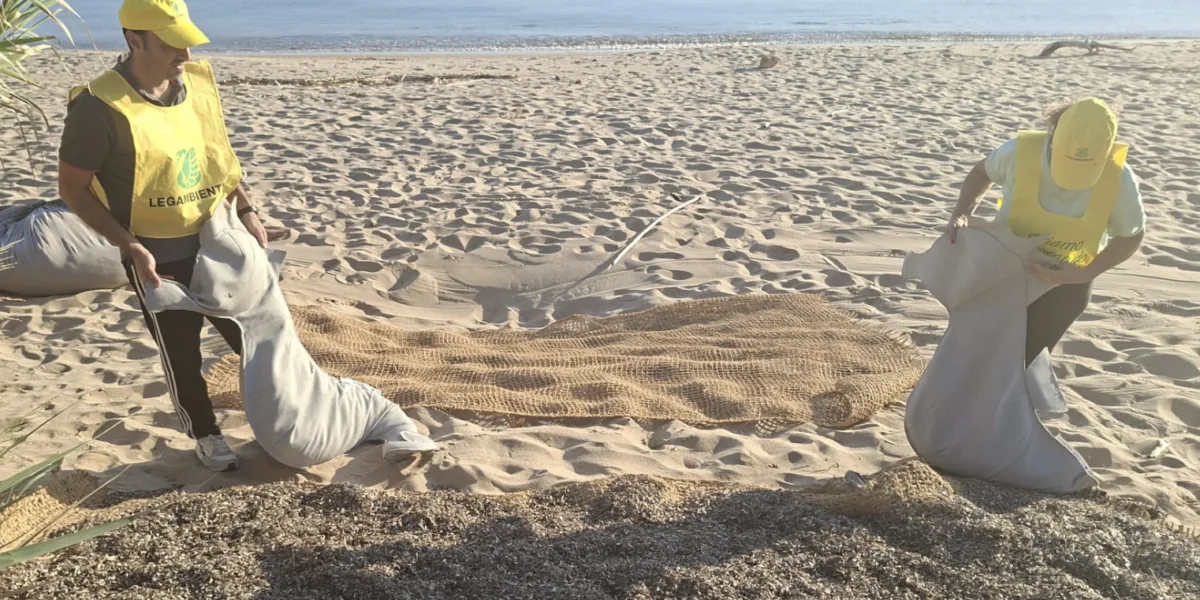 Isola Capo Rizzuto, posidonia risorsa per le dune costiere