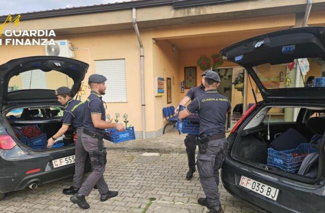Sequestrati nel Vibonese oltre 3.000 prodotti non sicuri