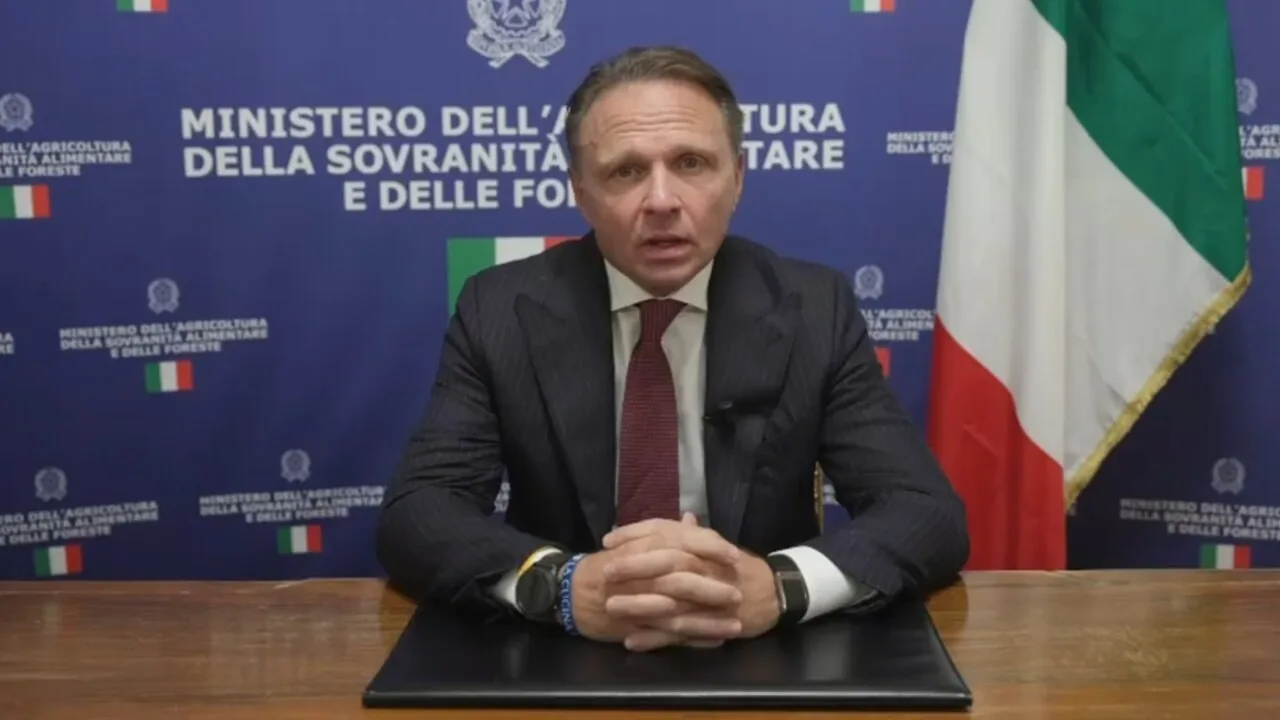 Olivicoltura Calabria, Lollobrigida chiede fondo emergenza