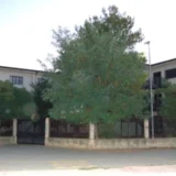 Allarme topi a Corigliano Rossano nelle scuole Leonetti