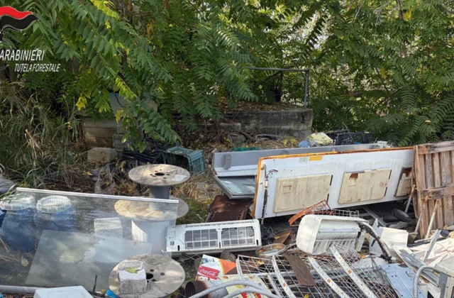 Discarica abusiva di rifiuti a Ricadi, denunciato un uomo